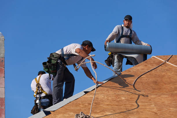Best Roof Gutter Cleaning  in Basehor, KS