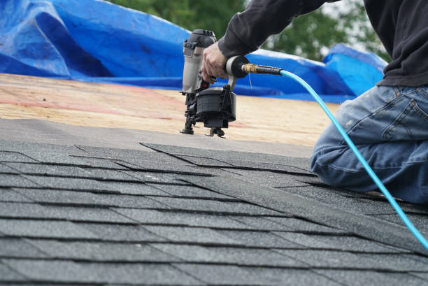 Best Local Roofing Companies  in Basehor, KS